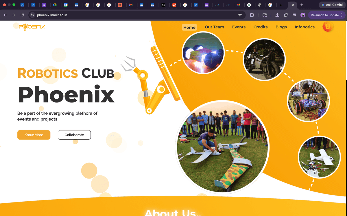 Phoenix Portal – LNMIIT
